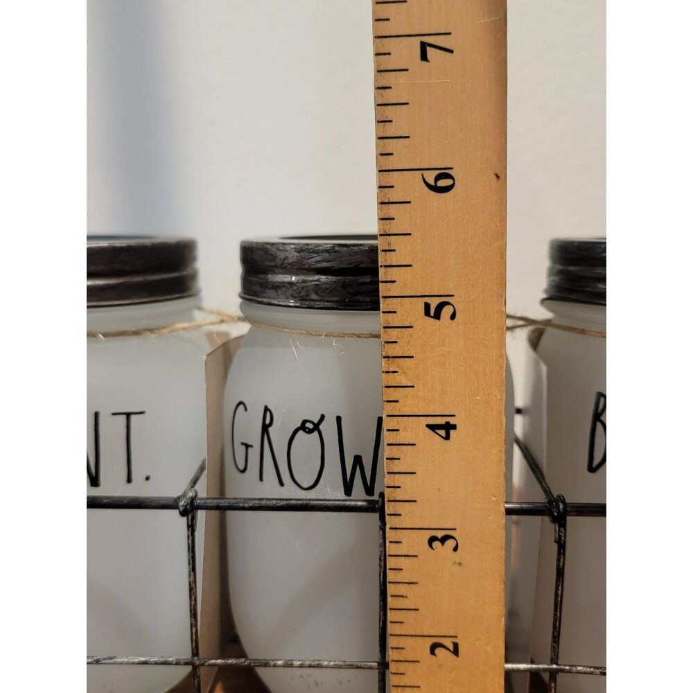 RARE Rae Dunn Plant Grow Bloom Mason Jar Set With Wire Holder 2017 - Picture 13 of 13